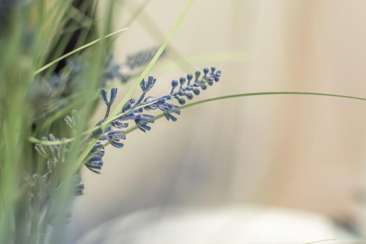 Style In - Belcanto Apartamento Florencia